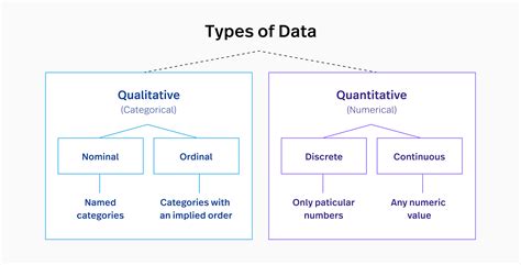 2 examples of quantitative data|2 types of quantitative data.